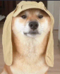kangzangvecs's tweet photo. @LeNai_tuzhi 日本猪是这个世界最低劣的民族，没有道德操守，没有人性，所以才被惩罚世世代代苟活在狭窄的岛上，受到海啸、地震、山火惩罚永世不得好死； https://t.co/ToP26f5BPS