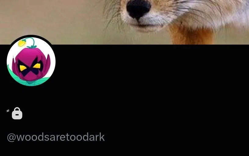 Lasnicoaventura.txt on X: 