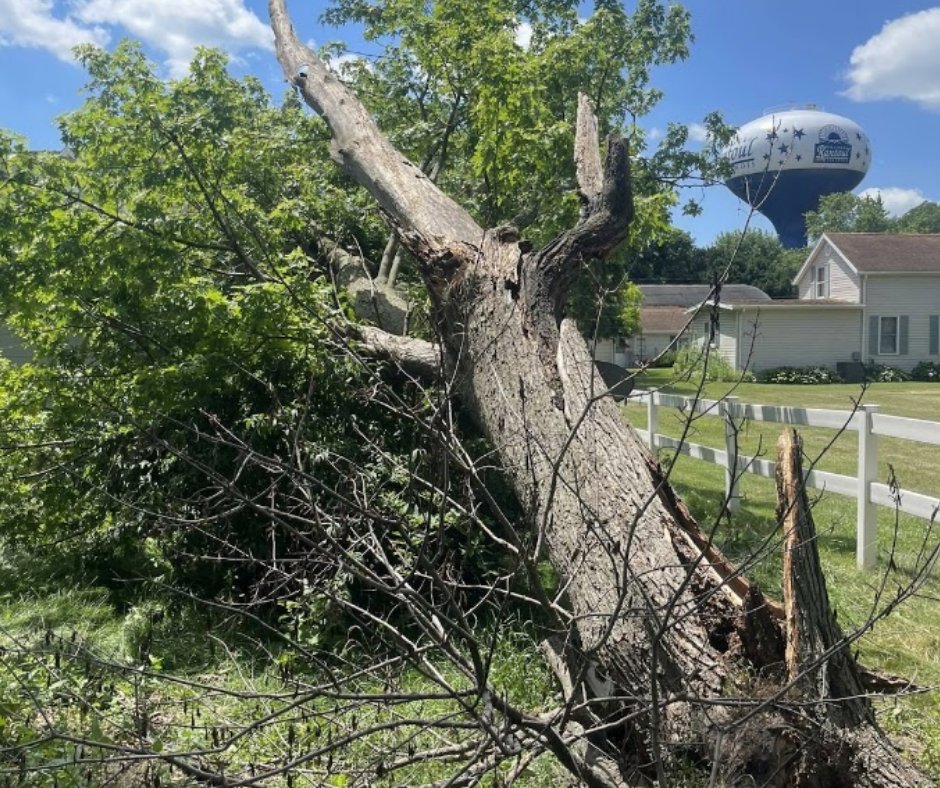 Cleangreentree's tweet photo. How Emergency Tree Service Works After Storms in Mansfield?
Remove fallen trees.
Clear storm debris.
Check damaged trees.
https://t.co/bL2jr5z61C
#Mansfield #TreeService #StormDamage https://t.co/LPFrAvBqx2