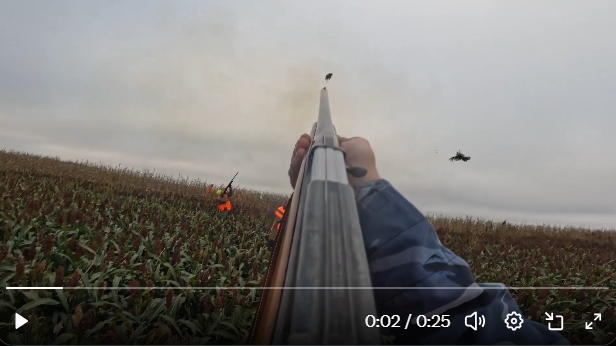 CodeRecce's tweet photo. @OfficialGuyE It is the etiquette about shooting over people's heads? https://t.co/YHHn8GP0EJ