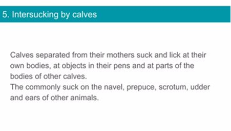 HowSxGotScrewed's tweet photo. DYK NJ charged 42yo Robert Melia in 2006 w/#CrueltyAgainstAnimals for letting calves suck him. Superior Court Judge James Morley dismissed charges. Ghosts of #HistSex still haunt. Blog7 https://t.co/OrRs6A1Dry #bestiality #zoophilia #zoosex
Here’s an excerpt from the trial: https://t.co/JM1U57ClpY