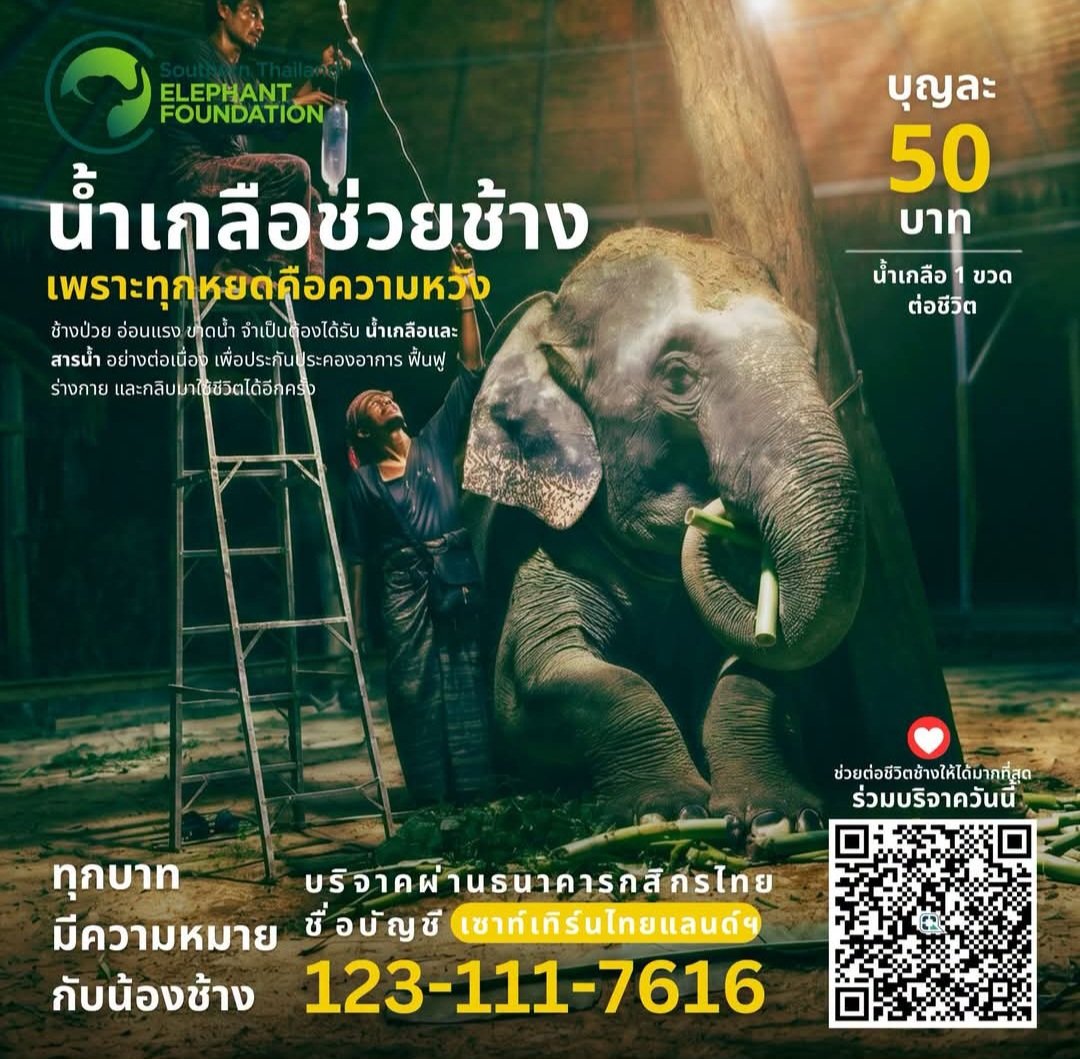 kadanboon1995 tweet picture