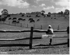 HowSxGotScrewed's tweet photo. DYK NJ charged 42yo Robert Melia in 2006 w/#CrueltyAgainstAnimals for letting calves suck him. Superior Court Judge James Morley dismissed charges. Ghosts of #HistSex still haunt. Blog7 https://t.co/OrRs6A1Dry #bestiality #zoophilia #zoosex
Here’s an excerpt from the trial: https://t.co/JM1U57ClpY