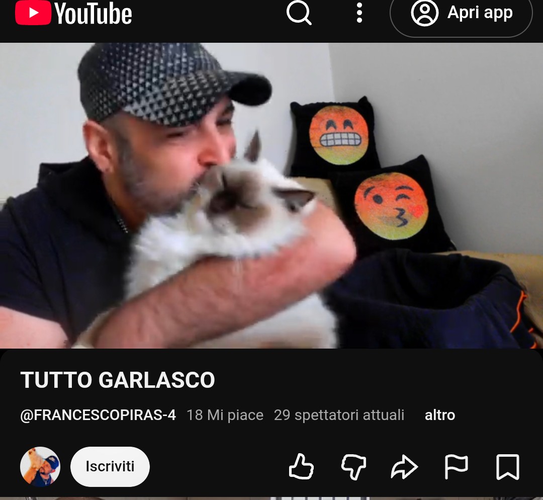 a_annabarton's tweet photo. Ce l'avete voi un gatto così bello?

#inetti 
#Piras 🤩 
#FreePiras https://t.co/pdkowg1Y4r
