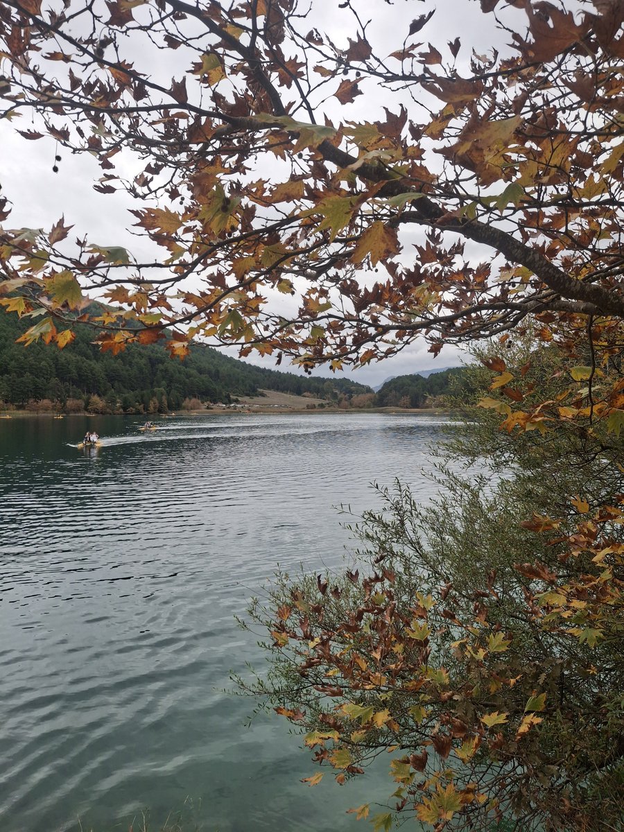 Evaggelos_7's tweet photo. Η φύση στα καλύτερά της...
Λίμνη Δόξας, Κορινθία https://t.co/hC1gGNrpHr