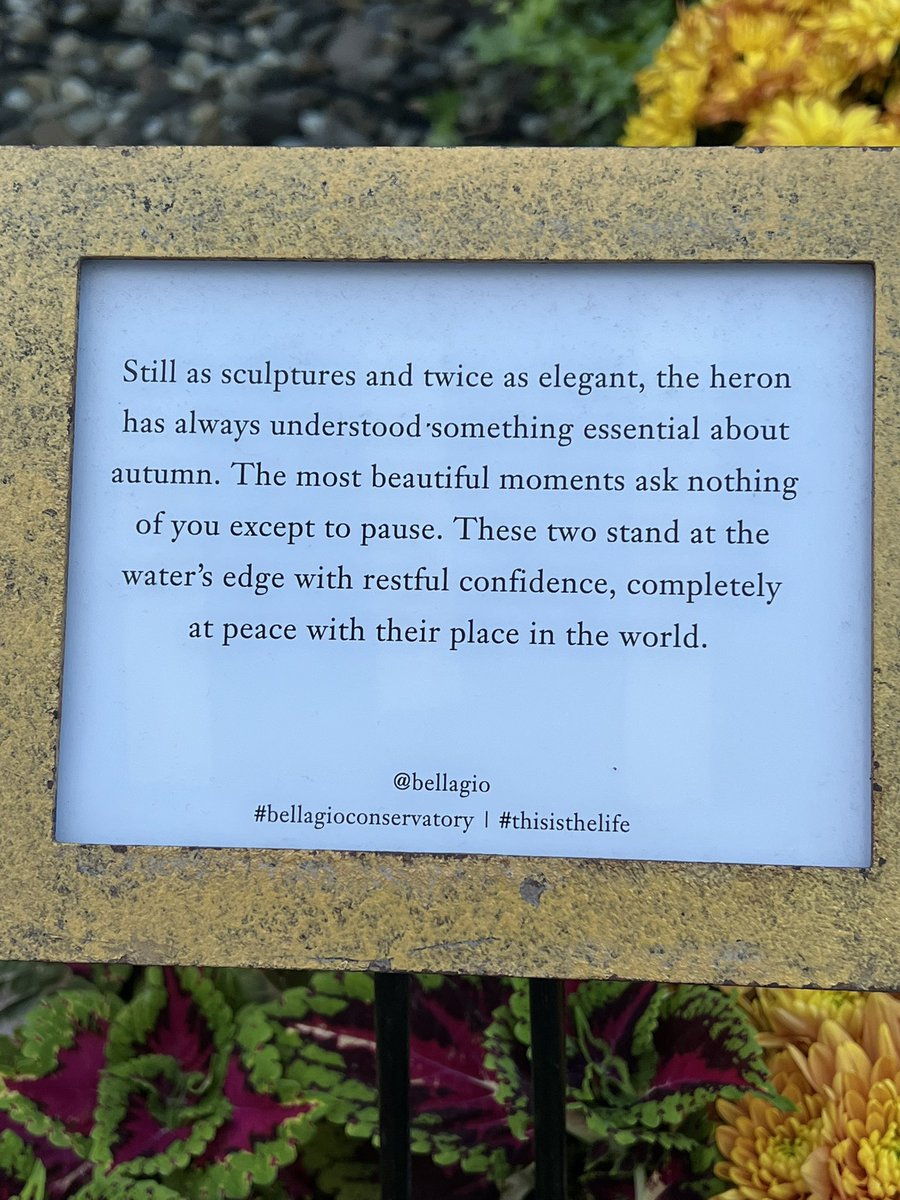 MissTaylor_EYFS's tweet photo. Some wise words @Bellagio #bellagioconservatory #thisisthelife https://t.co/bgeKtJNj11