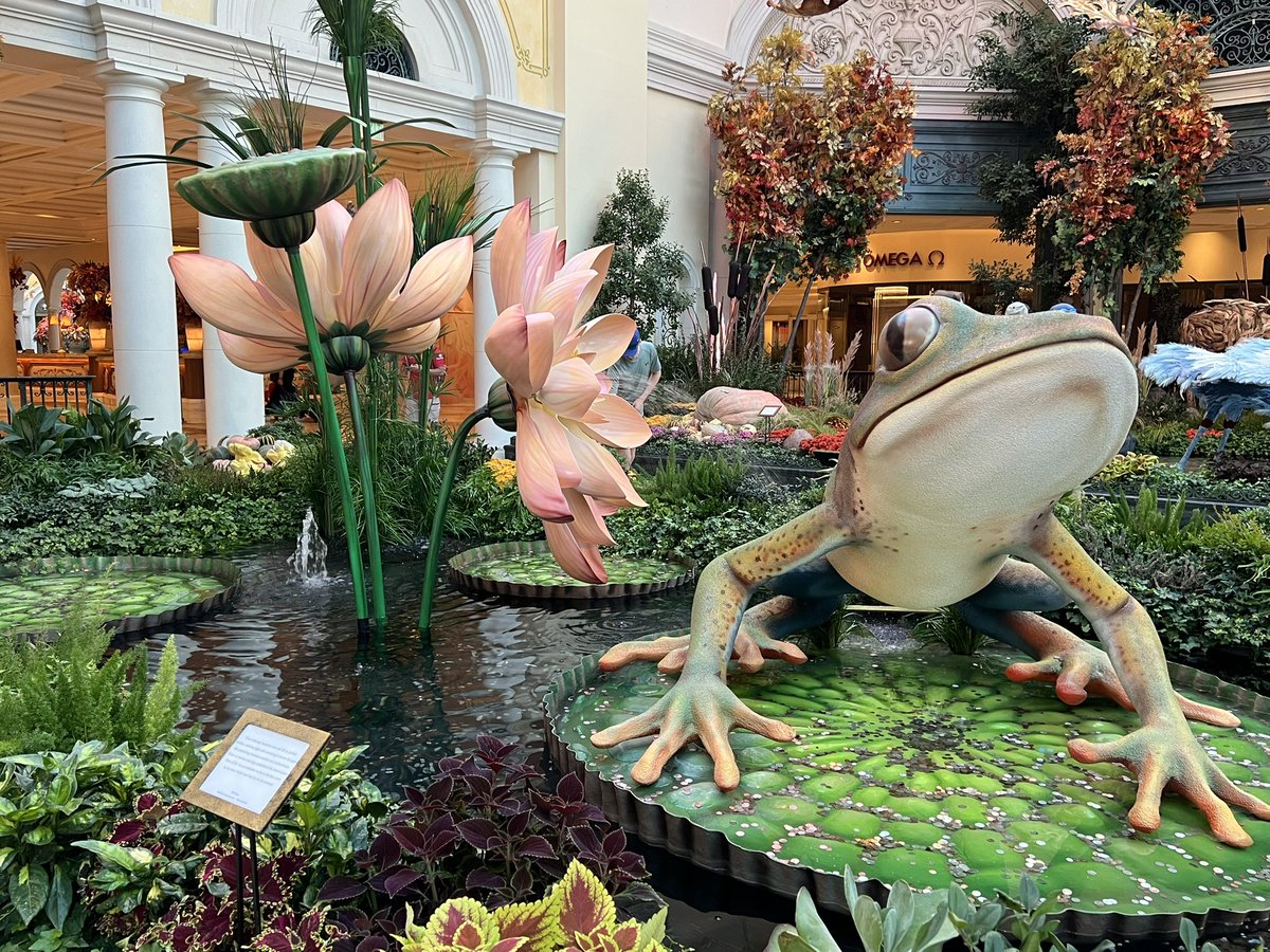 MissTaylor_EYFS's tweet photo. Some wise words @Bellagio #bellagioconservatory #thisisthelife https://t.co/bgeKtJNj11