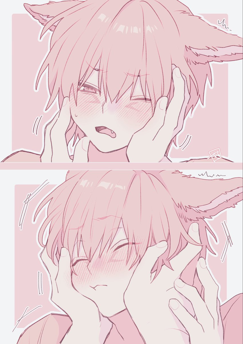 Seren_neko's tweet photo. https://t.co/Nc5UggLWhG