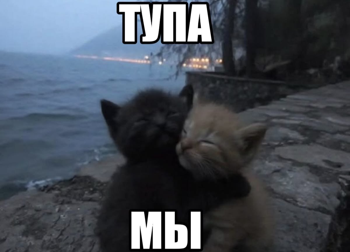 vecervcus's tweet photo. @HouseSetting @ThatLibertin Мы с Кимом https://t.co/5e7zPwVMBr