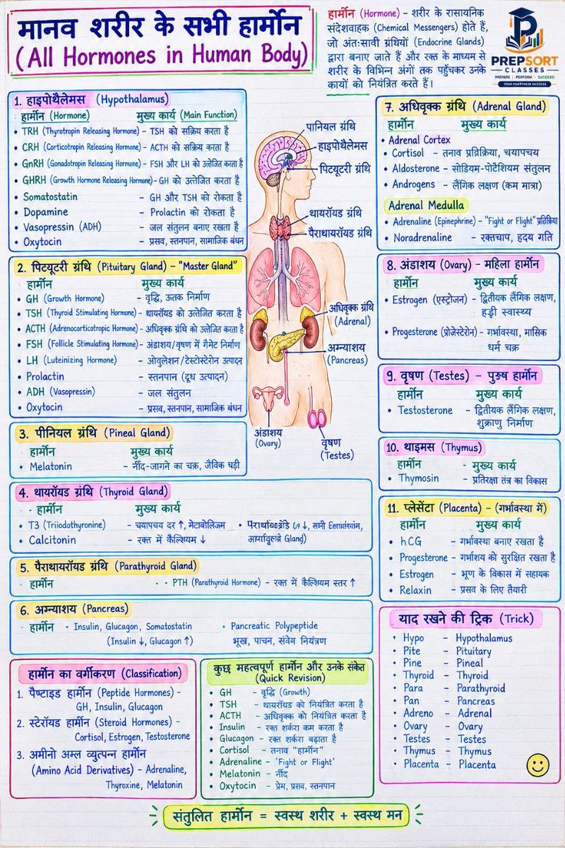 SachinMudg56786's tweet photo. 👉//Hormones of Human body Q/A &amp; MCQ//

-Science- 🧵📌

 #current #currentaffairs #UPSC #bpsc #uppcs #rpsc  #SSC #ssccgl #APPSC #CGPSC #AppscJobNotification #mppsc #ukpsc #APSC #APPSC #OPSC #KPSC #GPSC #JPSC  #TPSC #TNPSC #tspsc #upssscwaitinglist #UPSSSC https://t.co/ioIIHTZ0Ks