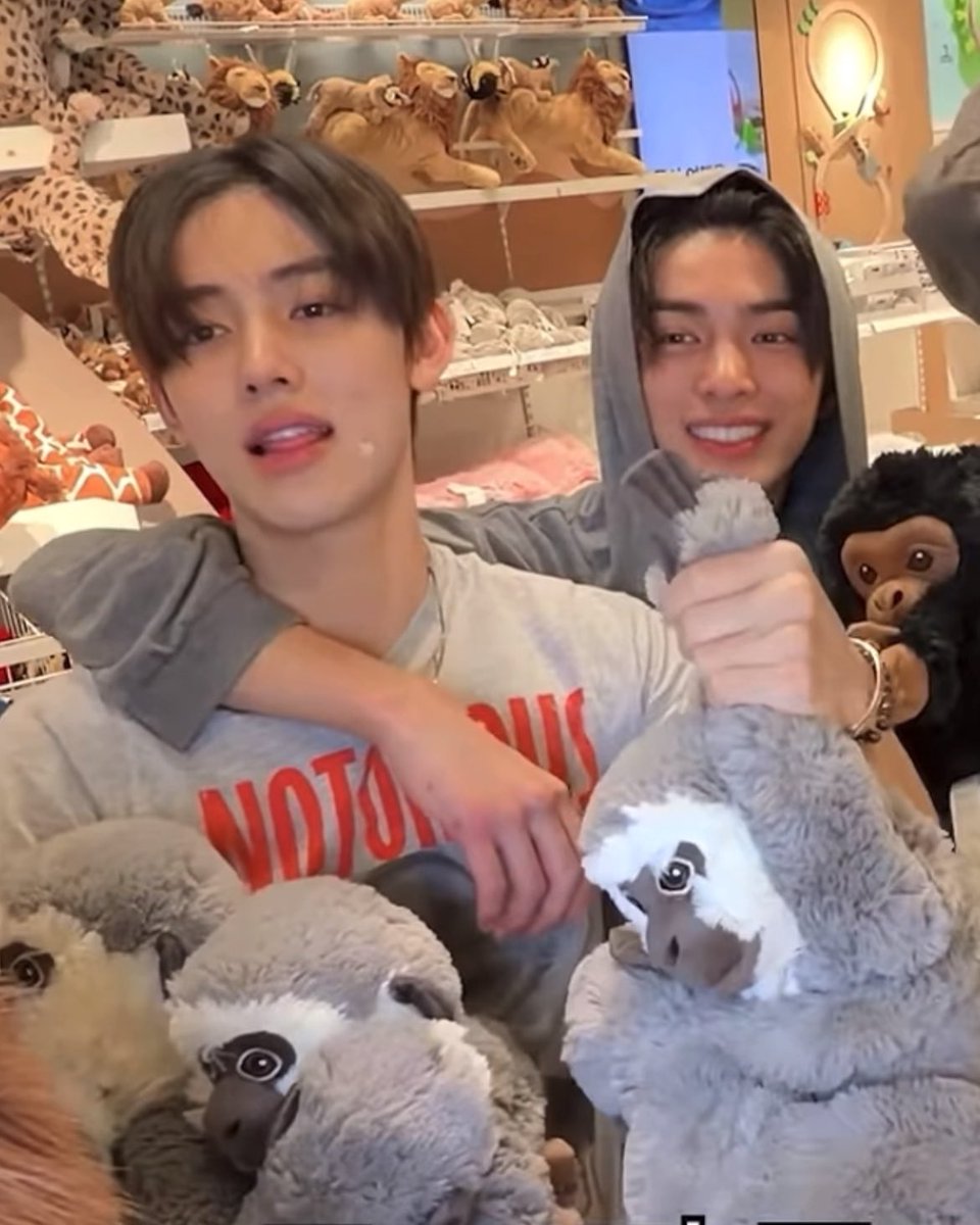 letgomaboy's tweet photo. 근데 진짜 각자 온싱이랑 닮음 https://t.co/FDnvjeJV4D