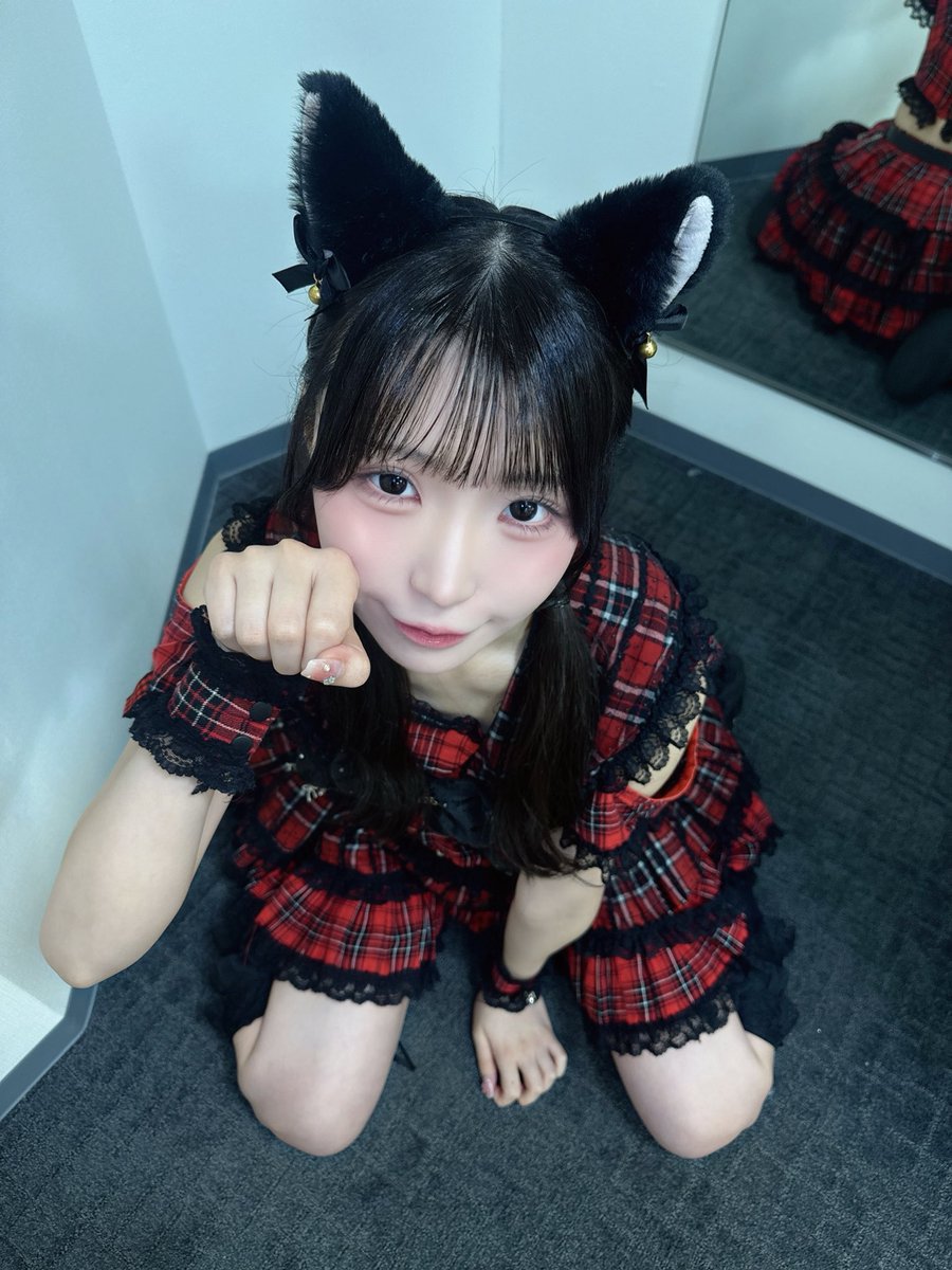 sekamono_riho's tweet photo. にゃんにゃんしてもいいですか？ https://t.co/AJIbfEHNHe