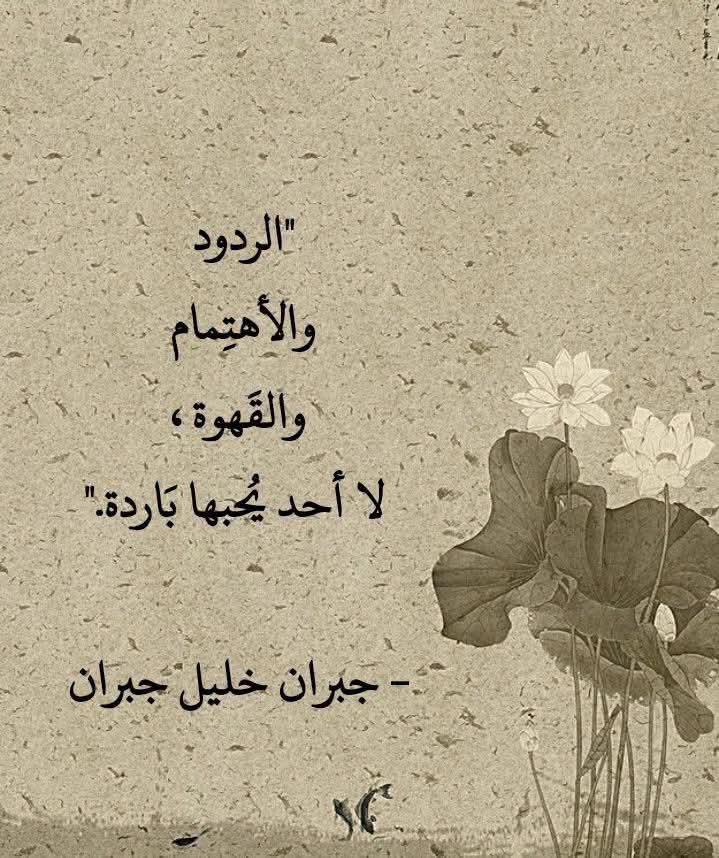 moheb_1490's tweet photo. https://t.co/7ZNoUtOCqi