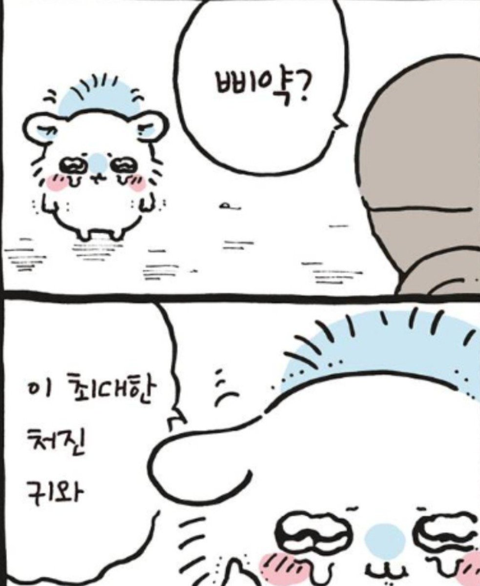 Momong1227's tweet photo. 몽가 특유의 눈썹내리고 무해한 척하는 울망울망 표정이 너무 좋은듯

귀 내리면 두 배로 더 귀여움 https://t.co/W2z71pfOFq