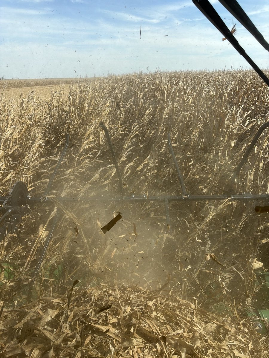 steers_farms's tweet photo. This is getting old… getting close though https://t.co/U6eHMfCorQ