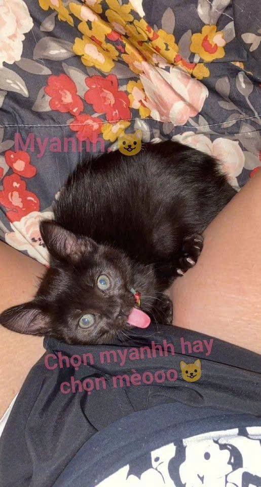 Yenlyzw's tweet photo. Hongg biett có aii ibb hongg nuaa🐇 https://t.co/o5OMTPyopM