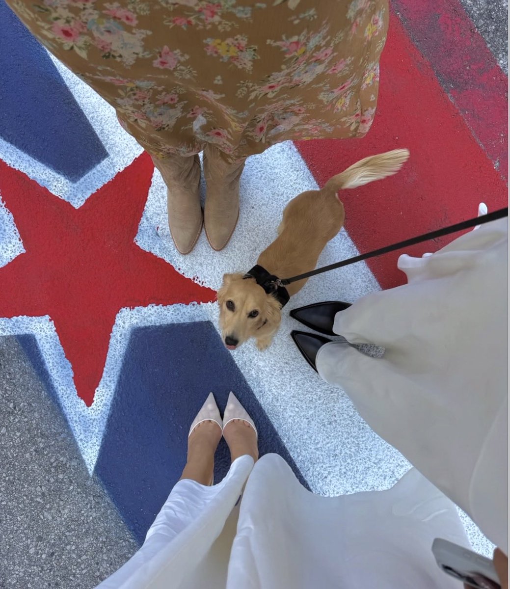 viessangels's tweet photo. 𝐁𝐫𝐢𝐧𝐠𝐢𝐧 𝐜𝐨𝐮𝐧𝐭𝐫𝐲 𝐛𝐚𝐜𝐤! 🤠 https://t.co/98tCXLAjTL