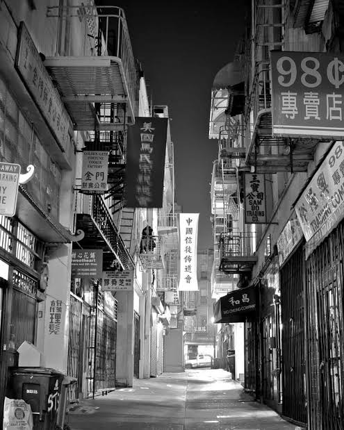 HowSxGotScrewed's tweet photo. Worker w/sex infections or other diseases went to die in Cooper Alley in San Francisco’s Chinatown. Ghosts of #GenderHistory still haunt.  https://t.co/OrRs6A1Dry #DecrimNow #SexWork #SurvivalSex #WmnHist https://t.co/f5tEshkH6D
