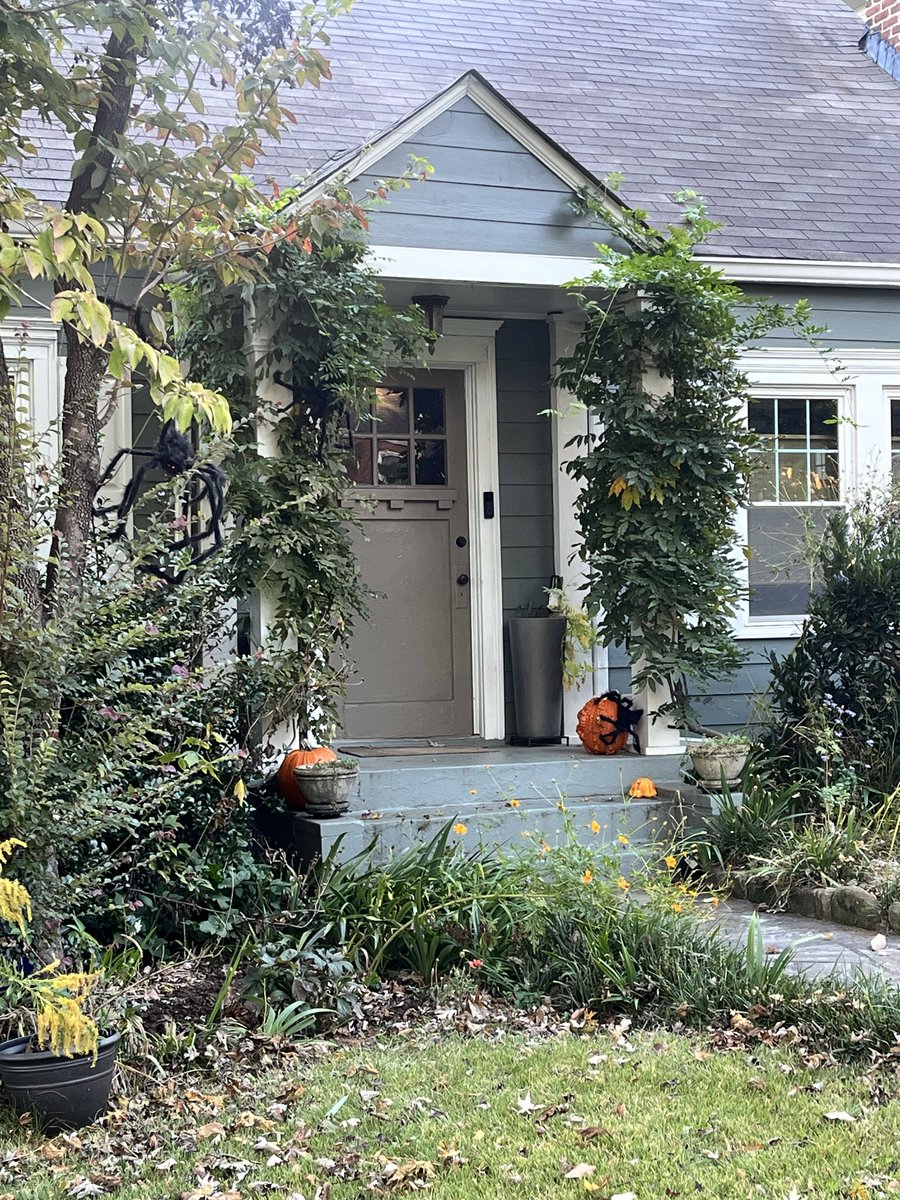 VStrongSanders's tweet photo. From this morning’s dog walk https://t.co/fPWzcAvfho