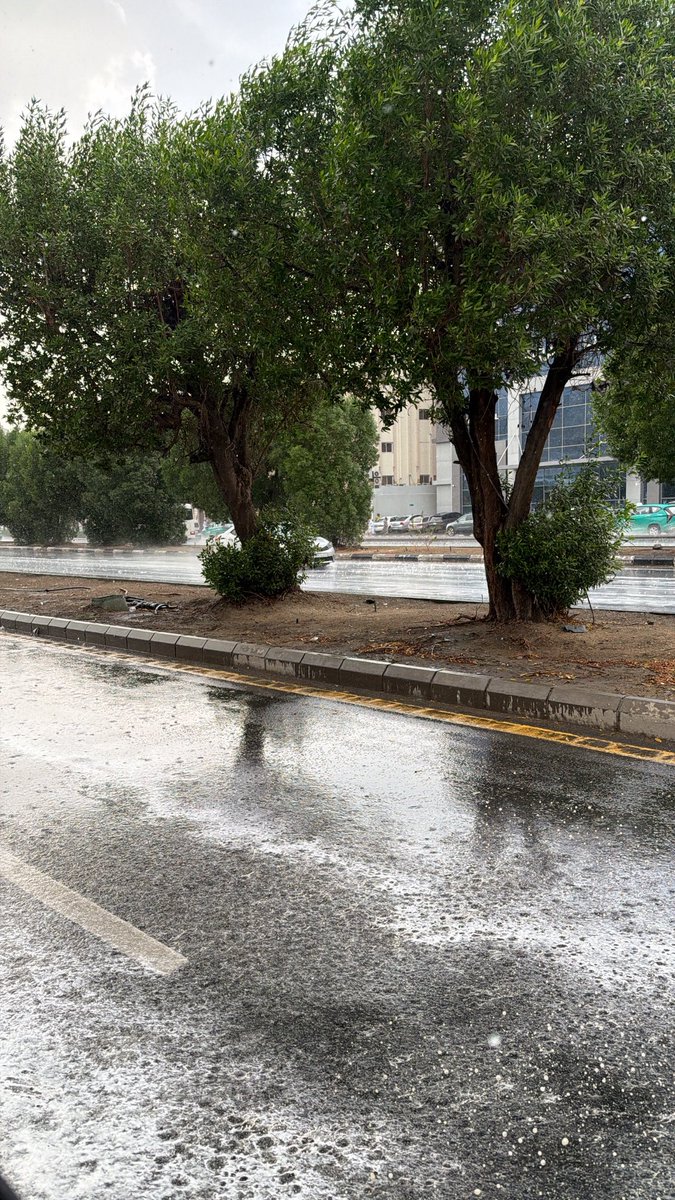 i3bnj's tweet photo. « يا ربِّ
أنَّ يُبلِل المطر 
روحي 
كما يفعل في الطُرقات » https://t.co/TgS8TkGzGj