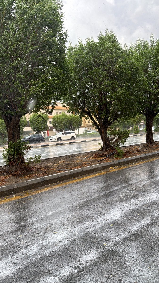 i3bnj's tweet photo. « يا ربِّ
أنَّ يُبلِل المطر 
روحي 
كما يفعل في الطُرقات » https://t.co/TgS8TkGzGj