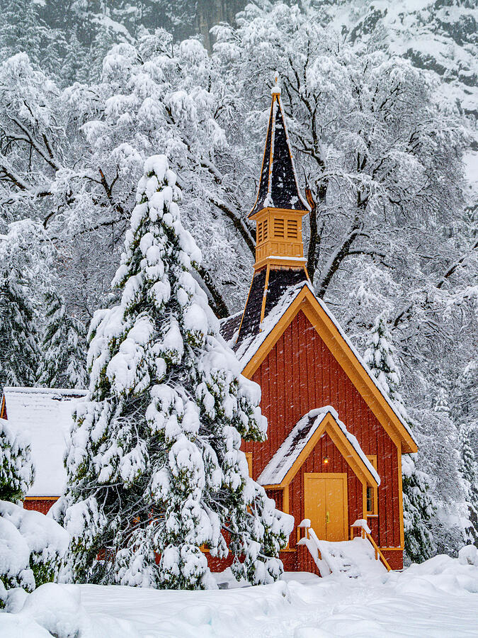 the_gallaghers1's tweet photo. Yosemite Chapel Portrait https://t.co/dHhXrsrFvU 

#YosemiteChapelPortrait #BillGallagherPhotography #YosemiteChapel #Yosemite #YosemiteValley #FreshSnowfall #Chapel #WinterStorm #WallArt #GiftIdeas https://t.co/nmxJDRSVnF