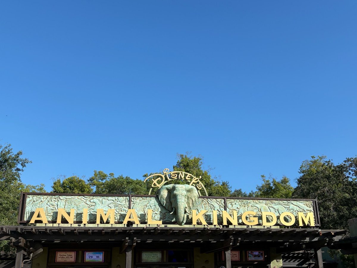 _andersonspring's tweet photo. first day back at the most magical place on earth!! https://t.co/zsC9DksdDQ