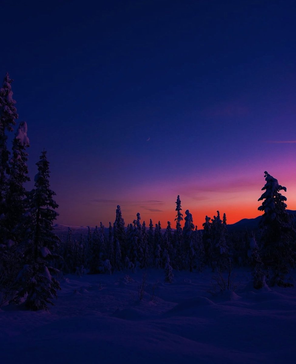 naturehealyou tweet picture