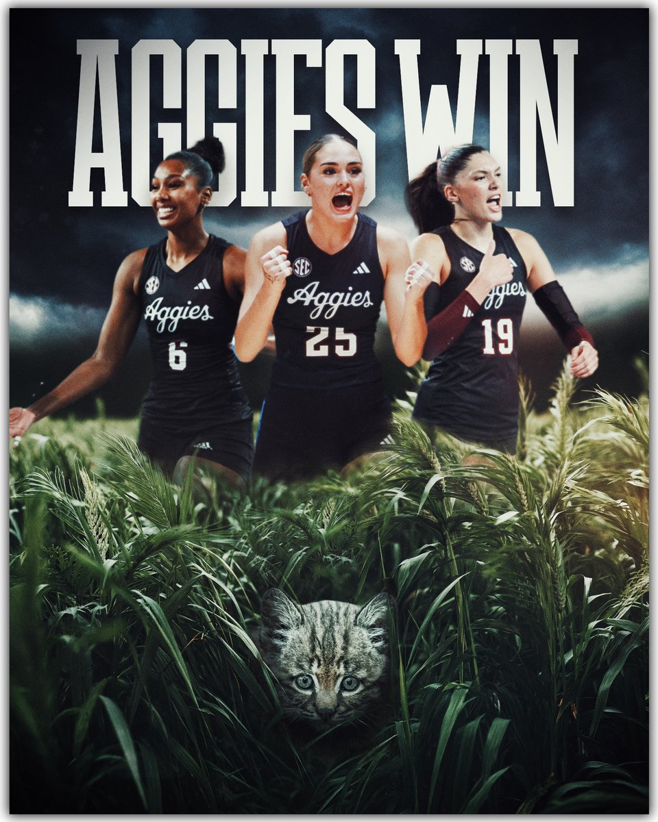 12thMan's tweet photo. HERE KITTY, KITTY https://t.co/i1zHTIxpsF