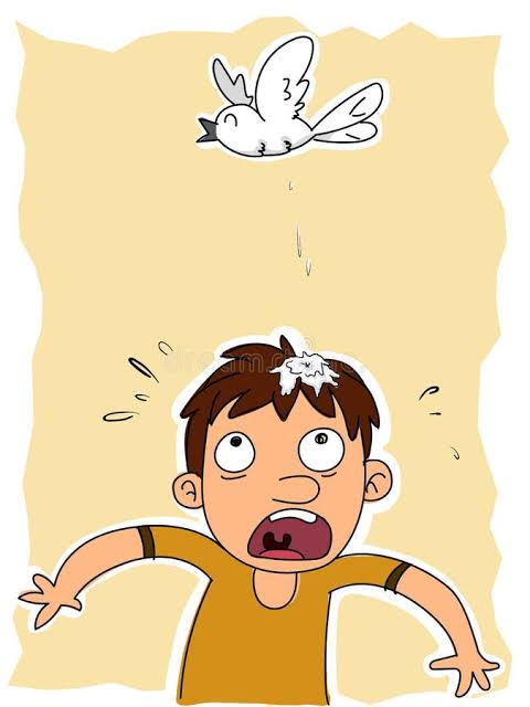 ref_tm's tweet photo. #AvianAlmanacs

Man And Poop A Man https://t.co/Nwt7ktBrMx