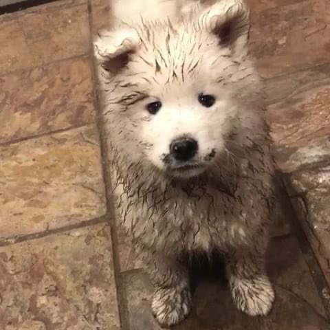 keepwatashi's tweet photo. เอ่อ หอมไม๋คับ 🥺 https://t.co/Fe5nu05o13