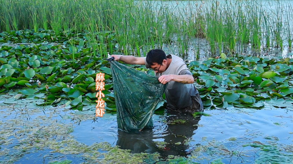 marumarurwde's tweet photo. [今日、親戚の家に行って、小さな侄が沼で取ってきたザリガニを見た！ちょっとした旅の思い出になったよ]， https://t.co/JzzorZ5Fuc