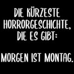 Photo by Sächsische Wollmaus verachtet die JU📯 🏳️‍🌈 🧶 (@OrthoDel)