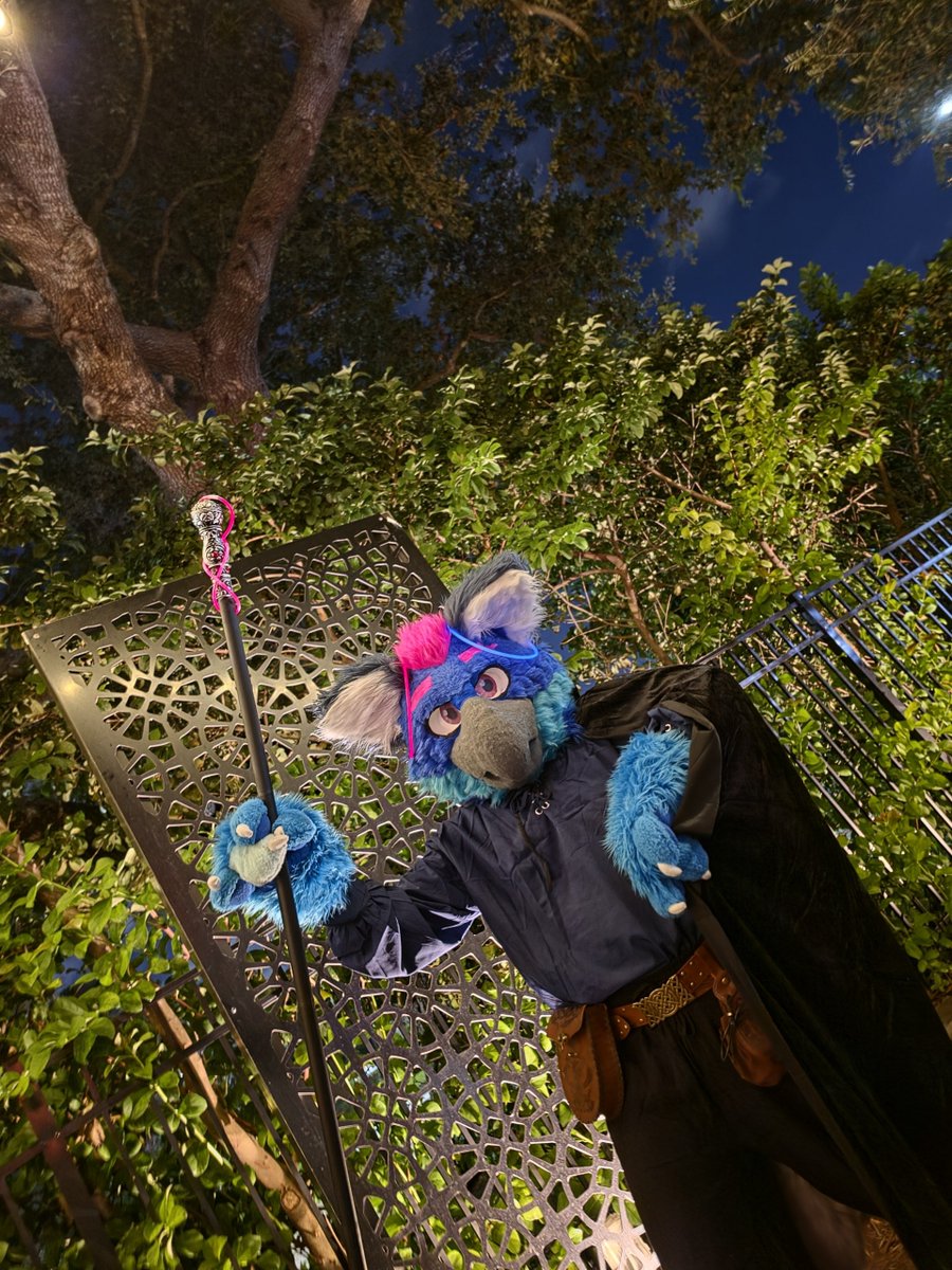LuFolf8's tweet photo. Last night was a lot of fun at Howl-O-Plex

#furry #megaplex #howloplex https://t.co/DoQr2lgP0c
