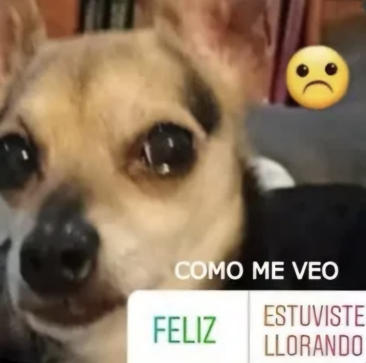virusby2024's tweet photo. @rrrefisura Terminamos, te vi con otro https://t.co/nahYI6nDye