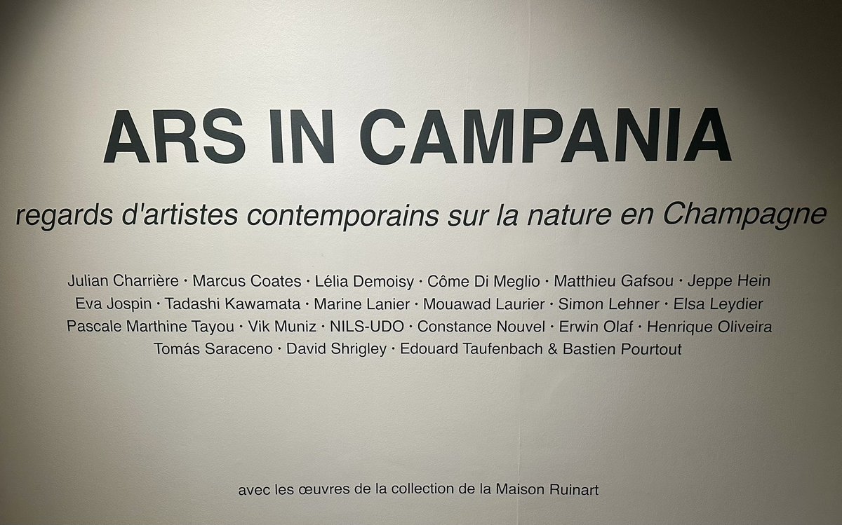 benoit_dh's tweet photo. 🌍 ARS IN CAMPANIA 🌍
Très agréable vernissage de l’exposition « Ars in Campania » 😃👍🏼🎨 Les regards d'artistes contemporains sur la nature en Champagne 🌳
#Reims #Culture #Exposition #ArsInCampania https://t.co/1y2sv0W5rh