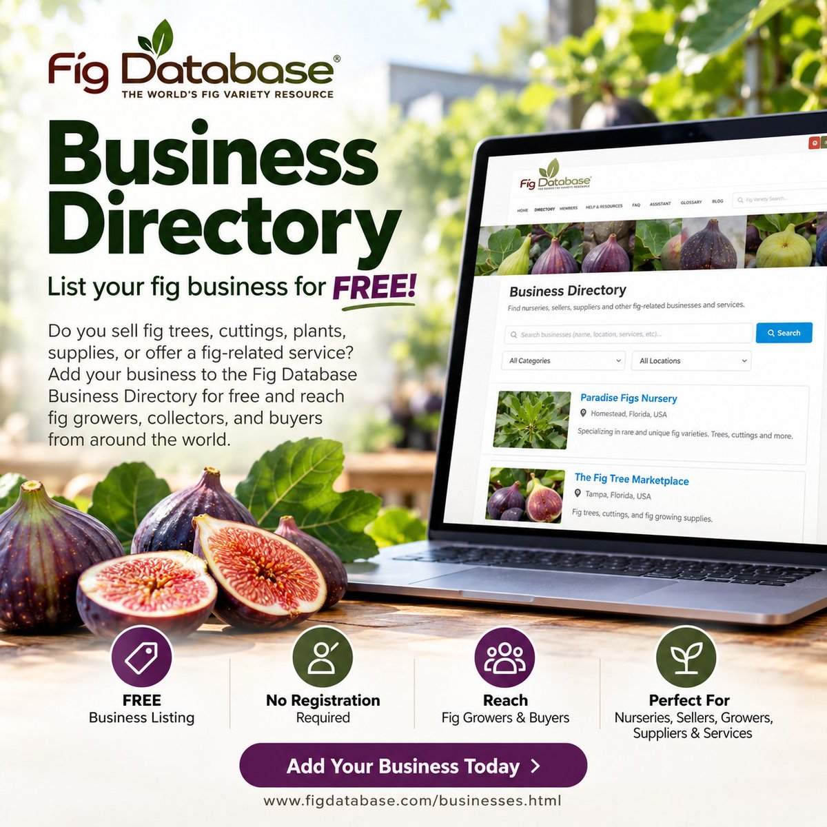 figdatabase's tweet photo. Sell fig trees, cuttings, plants, supplies, or fig-related services? 🌿
List your business in the Fig Database Business Directory for FREE — no registration required.
https://t.co/Xq1ekVe1ow
#FigDatabase #FigTrees #FigCuttings #FigGrowers https://t.co/EWXCaY7teb