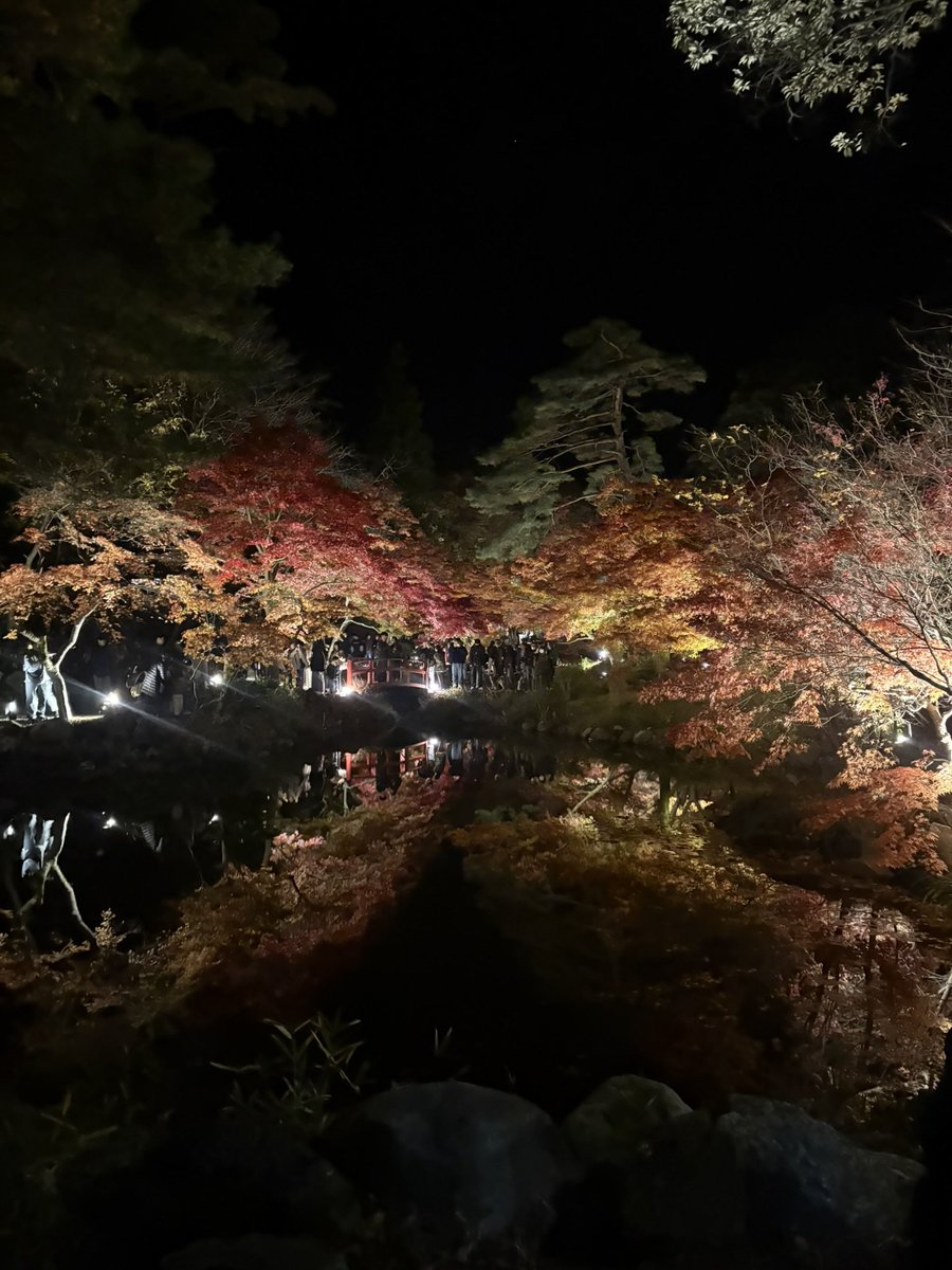 jcmllx's tweet photo. もー少しで、綺麗な紅葉が見れる🍁
これは去年のなんだけど、今年はどこ見に行けるかな〜🤭✨ https://t.co/J01Ah45jsG
