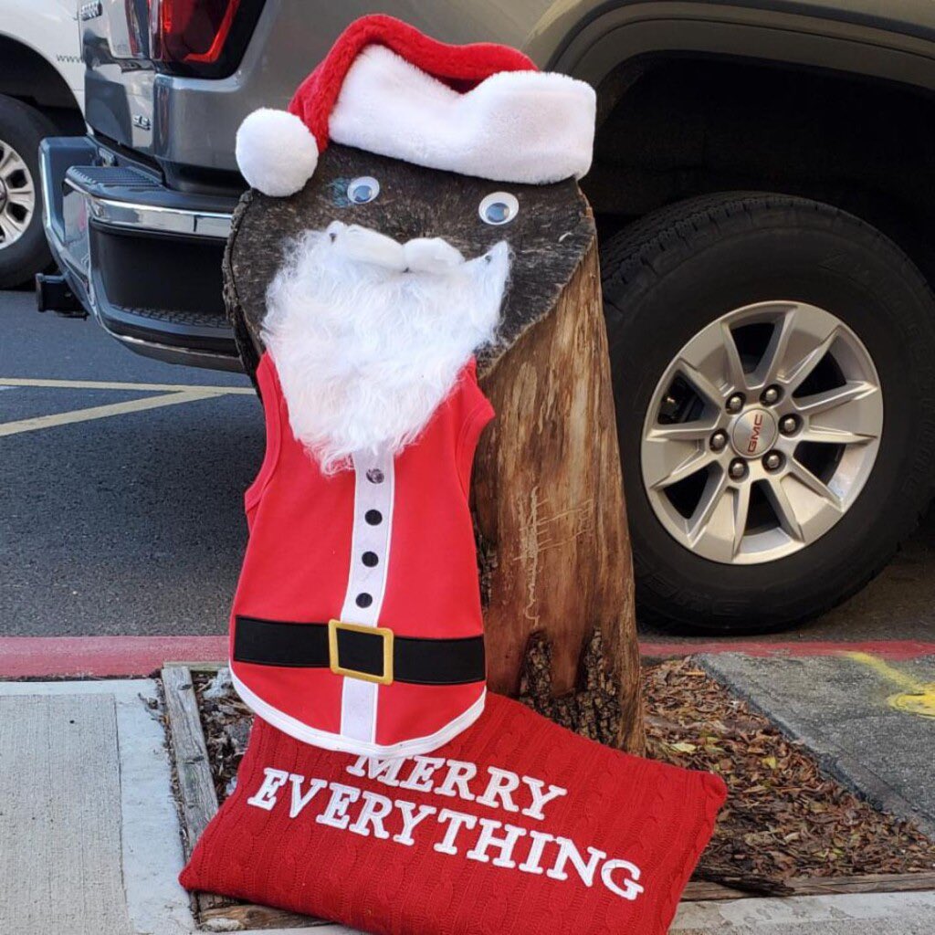 ddofinternet's tweet photo. There’s a famous tree stump in New Jersey named “Stumpy” that gets decorated once a month. https://t.co/GmC1T9BYxC