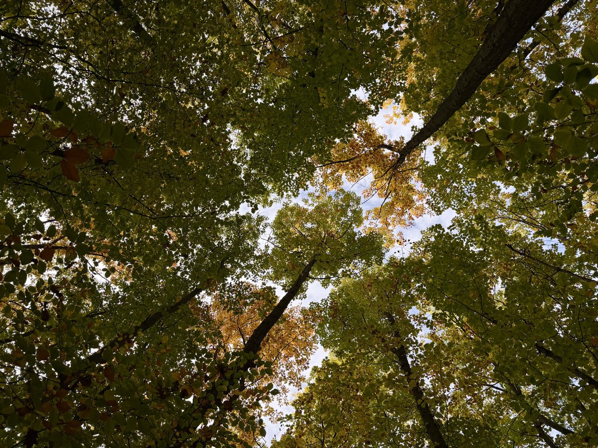 MaxiMusterman1's tweet photo. Ich fühle mich gerade ganz winzig https://t.co/xwNJHUNujD