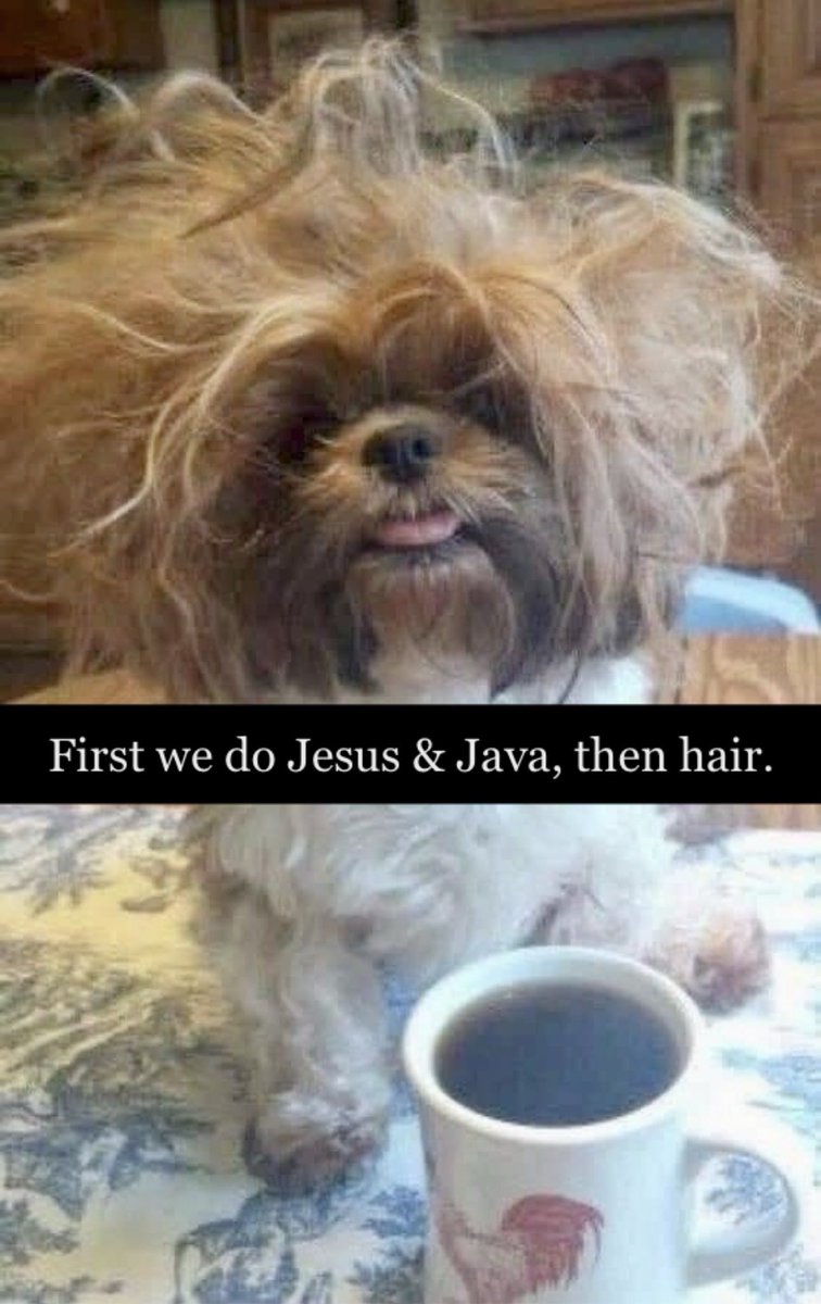 CindyColbert's tweet photo. Happy Sunday X Fam! 🙌🏻 

Jesus &amp; Java I’ve got… 
but this hair … 
Pray for me 🙏🏻

Hope to see ya in the Sunday Soul Space tonight. If you haven’t yet set the reminder, it’s at the top of my page 🔥🕊️ https://t.co/KYBNzSEEpk