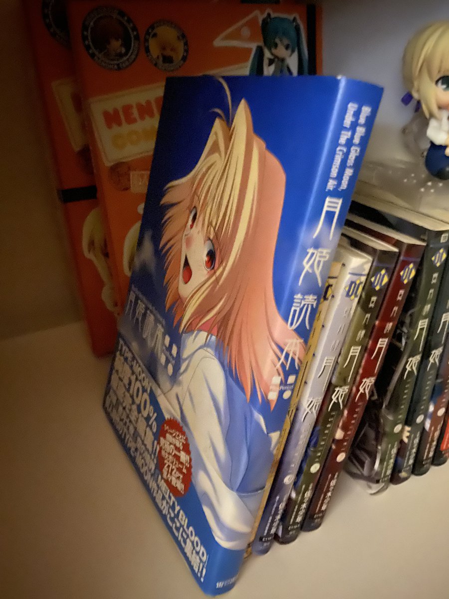 miofluid's tweet photo. @h31ioz it's the tsukihime dokuhon plus period artbook. i got mine on ebay https://t.co/gUxrGtseGf