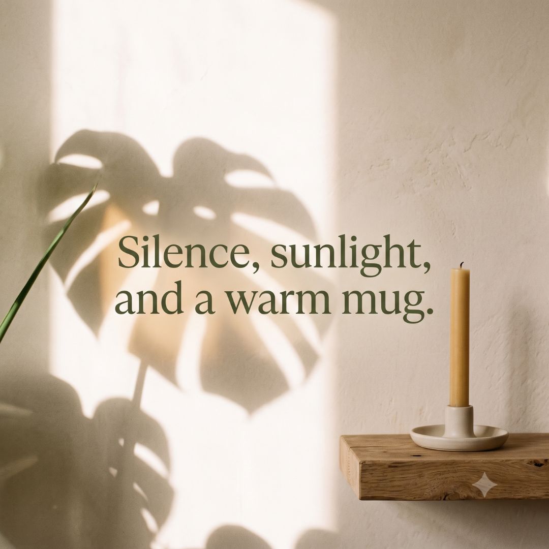 SLRNude's tweet photo. Warm light streaming through the window and absolute peace. Take a deep breath and enjoy the cozy moments today! 🌿 How do you like to recharge before Monday? https://t.co/SNs74phPZt