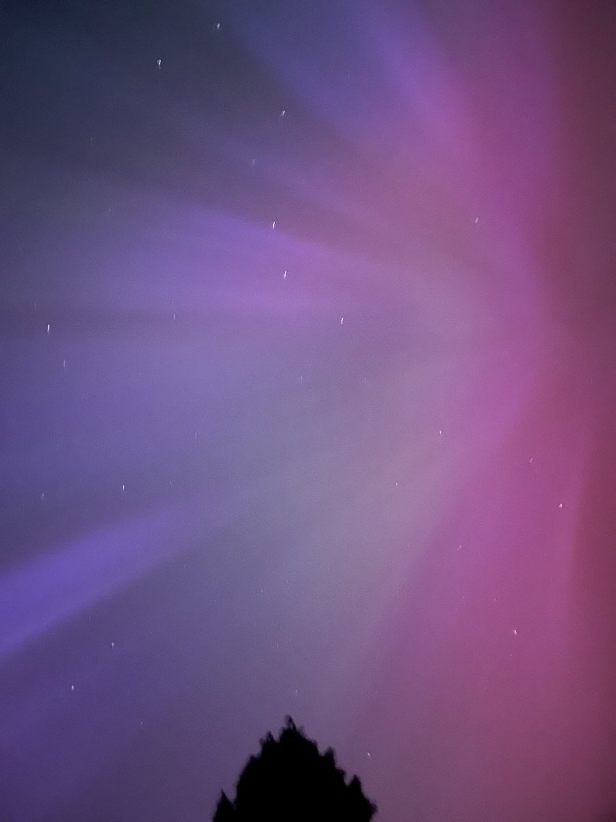 FloralRainbowAW's tweet photo. “Last night of all, when yon same star that’s westward from the pole had made his course t’illume that part of heaven where it now burns,” #Hamlet #ShakespeareSunday https://t.co/rqFpgOxhvn
