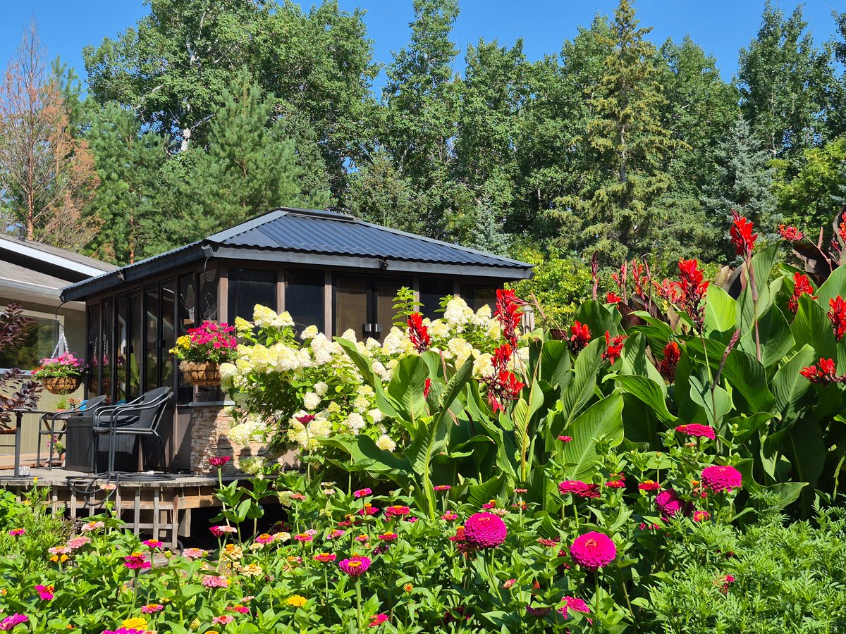 collzac's tweet photo. Stroll through this beautiful rural garden planted with hundreds of annuals &amp; towering canna lilies &amp; castor beans. Fragrant plants help the owners' blind dog navigate the 20-acre property. Stunning pond &amp; outhouse, too! https://t.co/1idYvQWdiB

#GardenBeauty #petlovers #pond https://t.co/Eem2oJyuGW