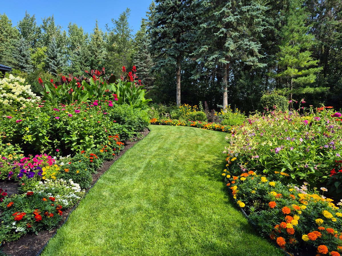 collzac's tweet photo. Stroll through this beautiful rural garden planted with hundreds of annuals &amp; towering canna lilies &amp; castor beans. Fragrant plants help the owners' blind dog navigate the 20-acre property. Stunning pond &amp; outhouse, too! https://t.co/1idYvQWdiB

#GardenBeauty #petlovers #pond https://t.co/Eem2oJyuGW