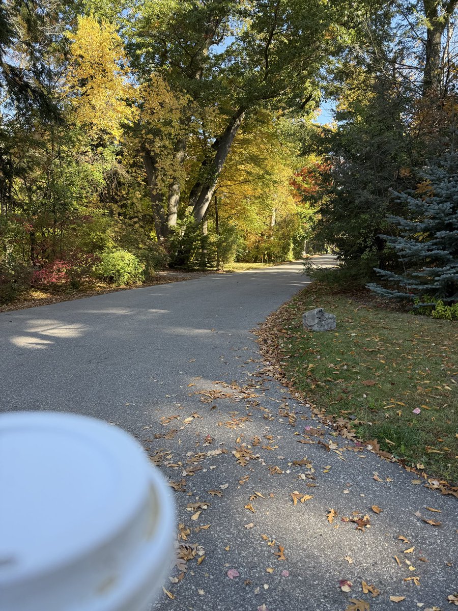 LongTplexTrader's tweet photo. Good late morning.  🍁 are changing https://t.co/31DinhlkZs