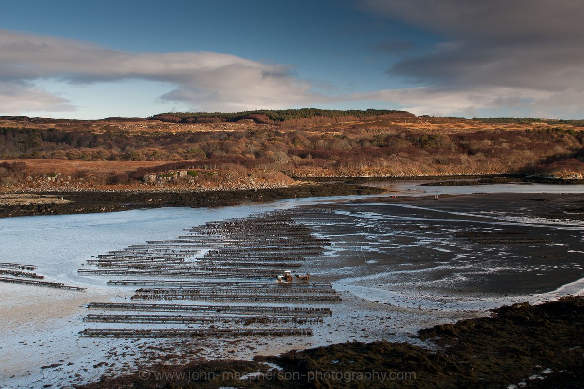 JohnWMacPherson's tweet photo. Living With The Sea

This is work I did (exactly 20 years ago) &amp; may give you a brief glimpse into the lives of a couple of families who work on the Isle of Mull, off the west coast of Scotland. Visit this bay at high tide, it looks wild and empty, but as the tide falls... 1/11 https://t.co/o6PGqSQsYH
