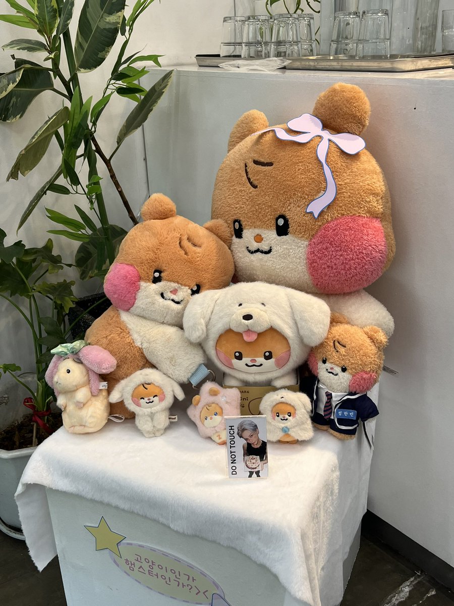 taelsagi's tweet photo. #healings today .. 🐹🐱⭐️ https://t.co/22E2i5JFTg