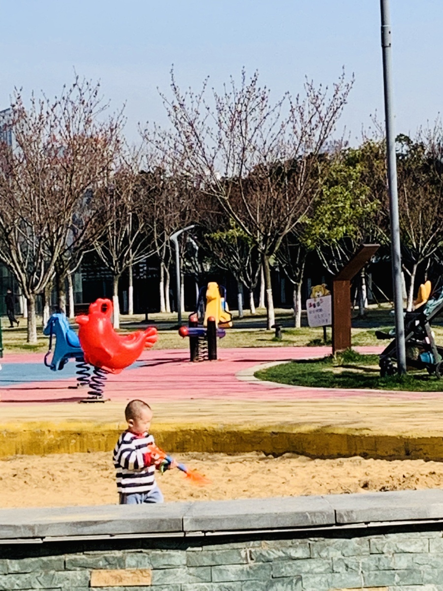1902Mariri's tweet photo. [早朝の公園で斗地拍を見つけた！遊び心たっぷりなアイテムで、子供も大人も夢中になれそう]， https://t.co/OnDqcHsTTM
